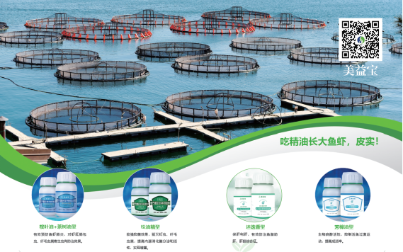 1688548326136587.png image.png